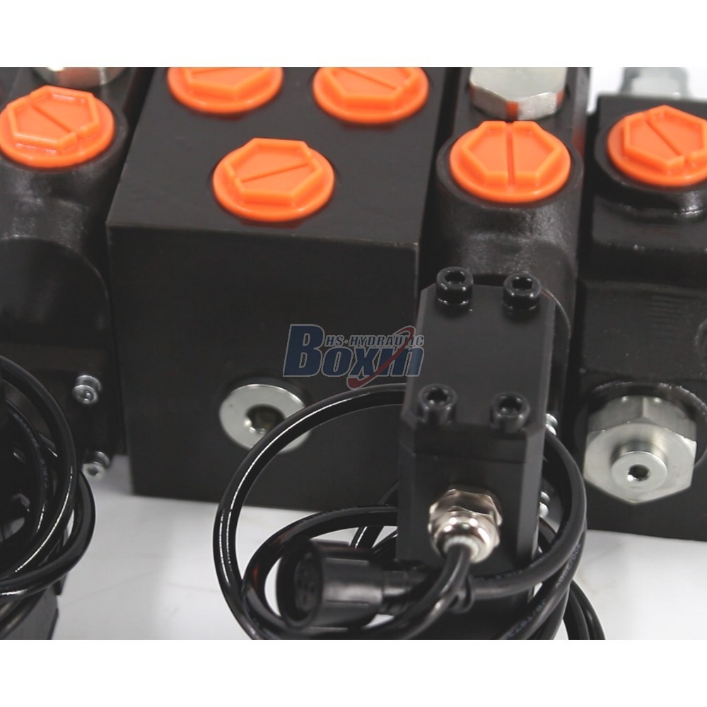 Factory Wholesale DCV200 2 Spool Electric Motor Sectional Directional Valve detail image